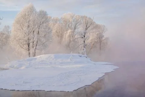 Snowy landscape with trees Stock Photos