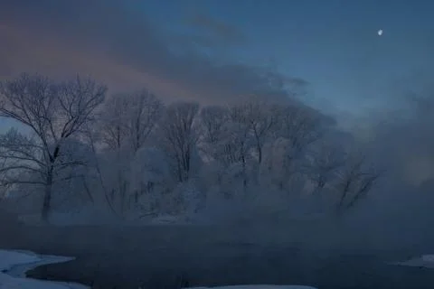 Snowy landscape with trees Stock Photos