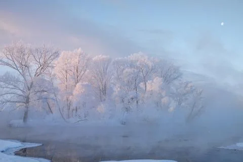 Snowy landscape with trees Stock Photos