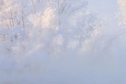 Snowy landscape with trees Stock Photos
