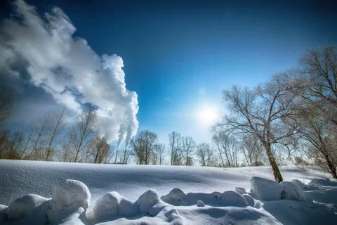 Snowy landscape with trees Stock Photos