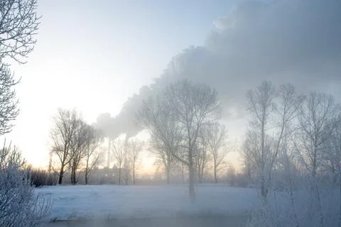 Snowy landscape with trees Stock Photos
