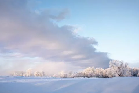 Snowy landscape with trees Stock Photos