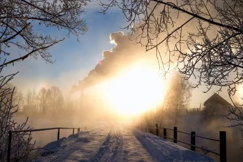 Snowy landscape with trees Stock Photos