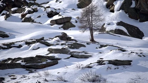 Snowy landscape view Stock Footage 98208420