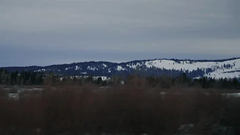 Snowy Landscape View Through Moving Vehicle Stock Footage 313453543