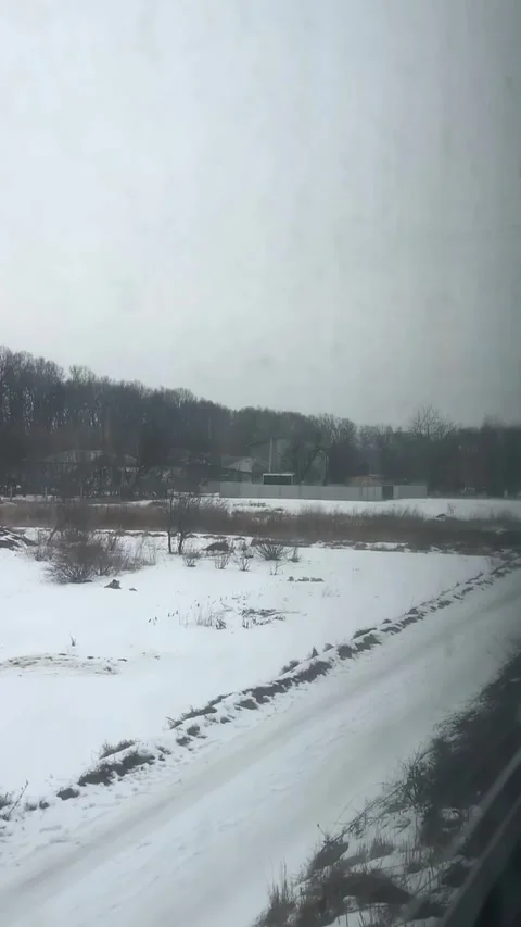 Snowy Landscape Viewed from Moving Train in Winter Stock Footage 338126174