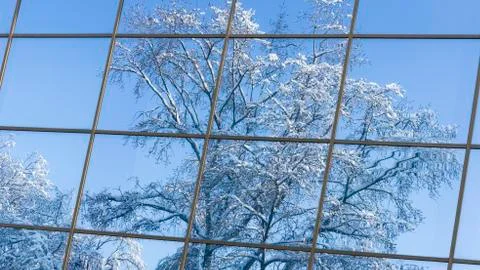 Snowy landscape in the window Stock Photos