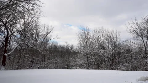 A Snowy landscape in the Winter Stock Footage 147565974