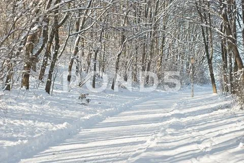 Snowy lane Stock Photos