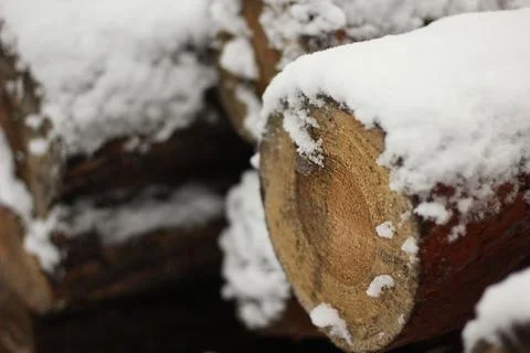 Snowy Log End Texture Foto stock