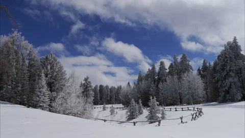 Snowy Meadow Stock Footage 106369182