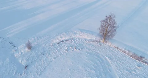 Snowy meadow with lonely tree Stock Footage 150218961