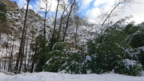 Snowy Mountain 1 Video stock 151226956