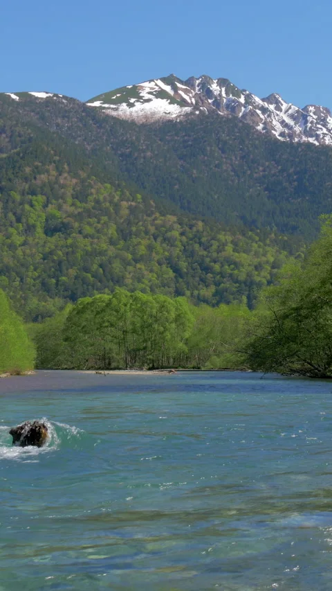 Snowy Mountain and Clear River in Fresh Green Vertical Video Video stock 346002185