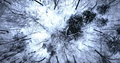 Snowy Mountain Flyover Stock Footage 123679002