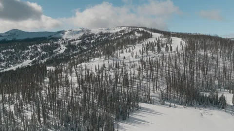 Snowy Mountain Forest 5 (Ascending Sweep) Stock Footage 221120111