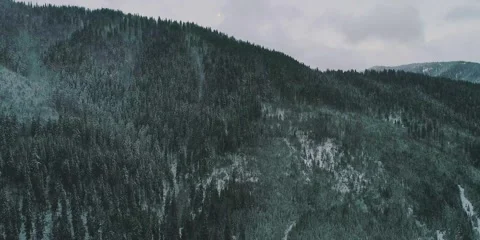 Snowy mountain forest twilight, winter nature landscape Stock Footage 280127031