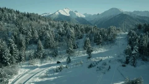 Snowy mountain forest, winter alpine scene, cinematic snowy drive Stock Footage 311762946
