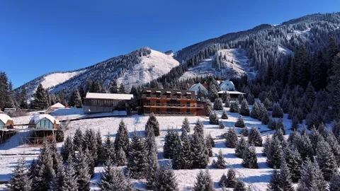 Snowy mountain hotel surrounded by pine trees in winter Stock Footage 314681312