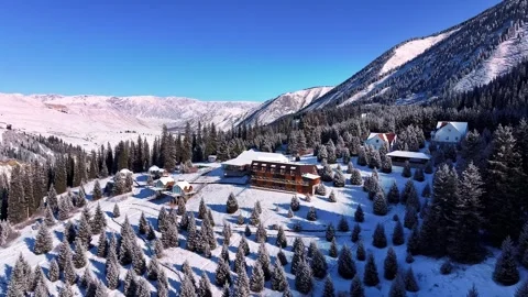 Snowy mountain hotel surrounded by pine trees in winter Stock Footage 314681389