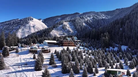 Snowy mountain hotel surrounded by pine trees in winter Stock Footage 314681672