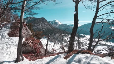Snowy mountain landscape from behind the trees on a winter frosty day in a Video stock 172319903