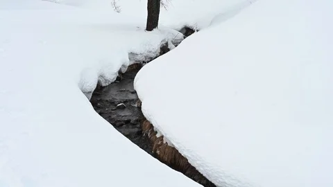 Snowy mountain landscape pine trees and stream Stock Footage 126661461