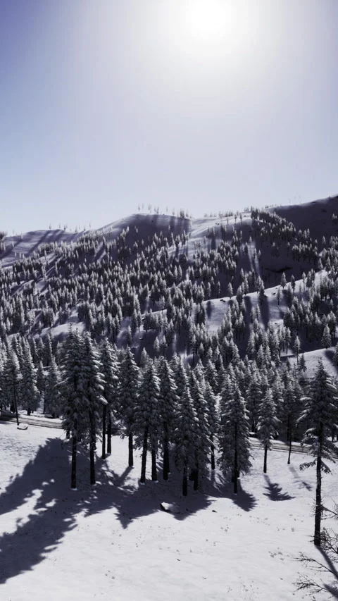 Snowy mountain landscape with trees and sun shining bright in winter sky Stock Footage 334882905