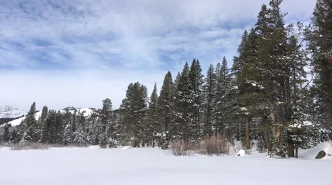 Snowy Mountain Meadow 스톡 동영상 58901644