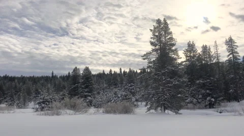 Snowy Mountain Meadow looking in to sun Video stock 58901209