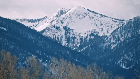 Snowy Mountain Peak and Pine Slopes Stock Footage 313454032
