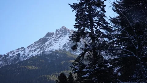 Snowy mountain peak and trees viewed from a moving vehicle Stock Footage 310230883