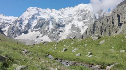 Snowy mountain peaks against the spring valley overgrown with green grass and Stock Footage 169705697