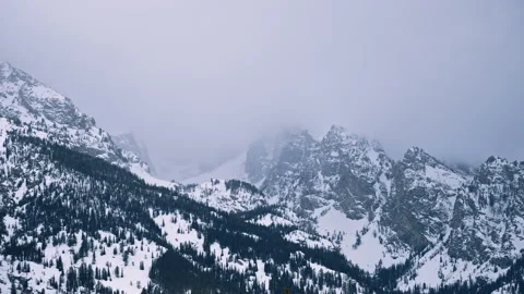 Snowy Mountain Peaks With Pine Forest In Winter Stock Footage 313483684