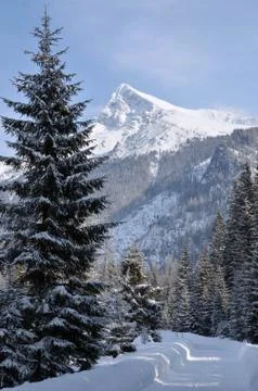 Snowy mountain Stock Photos