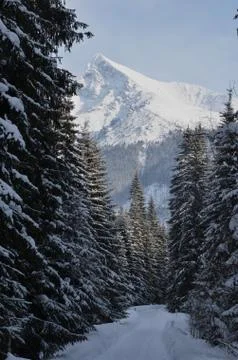 Snowy mountain Stock Photos