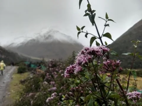 Snowy mountain Stock Photos