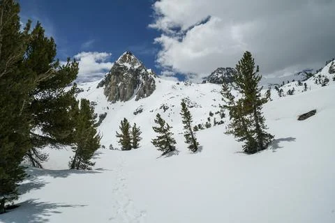 A snowy mountain range with a few trees in the foreground Stock Photos