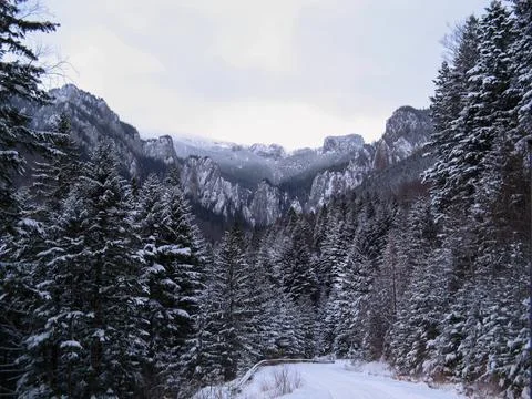 A snowy mountain range with forest and a road. The road is covered with snow Stock Photos