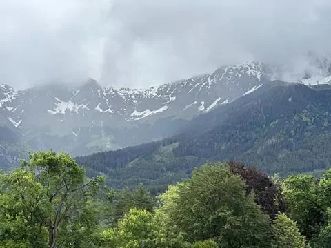 Snowy mountain range with green forest in the foreground Stock Photos
