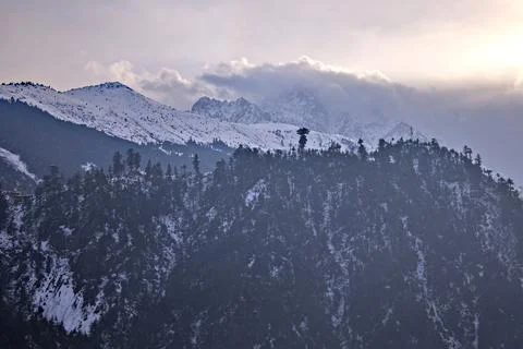 Snowy Mountain Range with Pine Forest and Bright Shinny Clouds Stock Photos