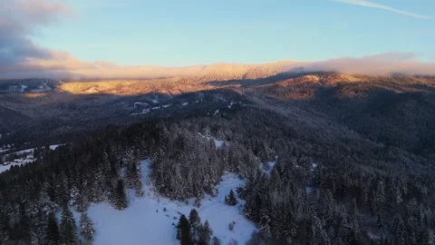 Snowy mountain range with trees covered in snow, viewed from the sky. Aerial Stock Footage 264042952