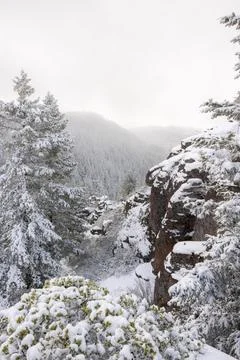 A snowy mountain range with trees covered in snow Stock Photos