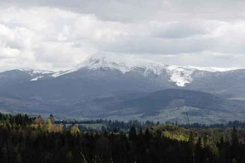 Snowy mountain range view from forest Stock Photos