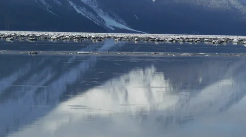 Snowy Mountain Reflected in Water While Ice Chunks Flow By Stock Footage 38061338
