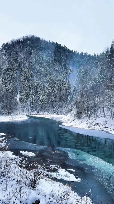 Snowy Mountain River Landscape – Panoramic Winter Forest Scene Stock Footage 307436831
