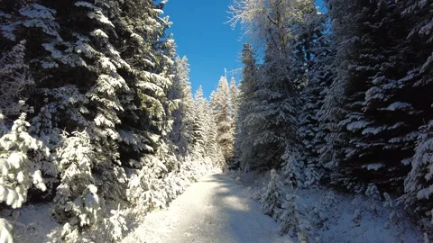 Snowy mountain road during winter Stock Footage 168151007
