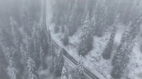 Snowy mountain road winding through foggy forest Stock Footage 314680797