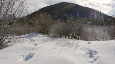 Snowy Mountain Scene with Rabbit Stock Footage 301668163
